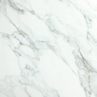 G559202 Carrara White 50x50 cm Gol. A